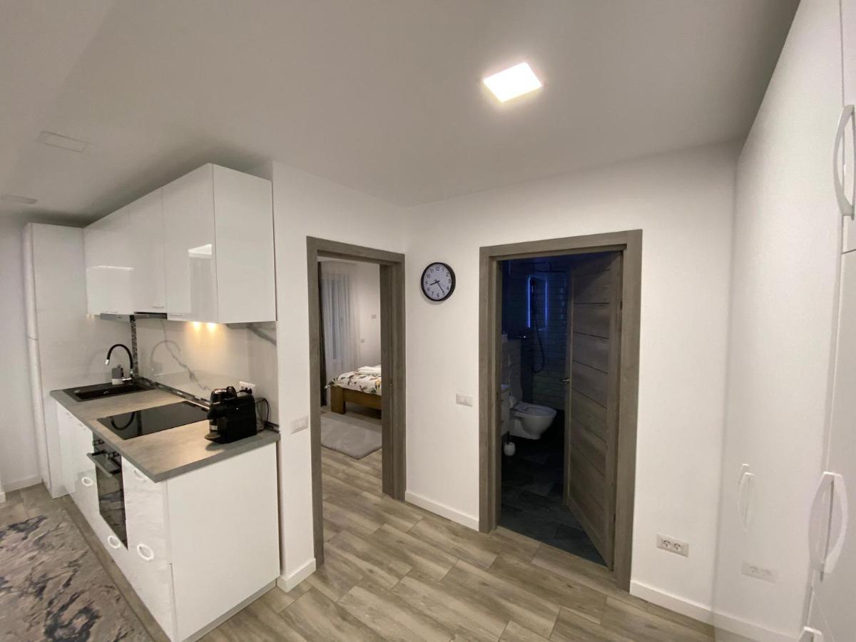 Ferienwohnung Lora Studio Suceava Exterior foto